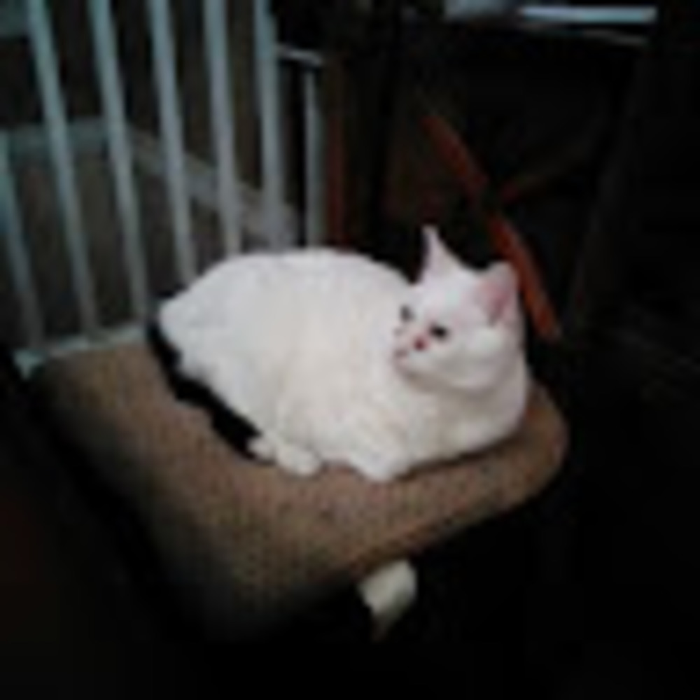 Meet your Posher, Meep